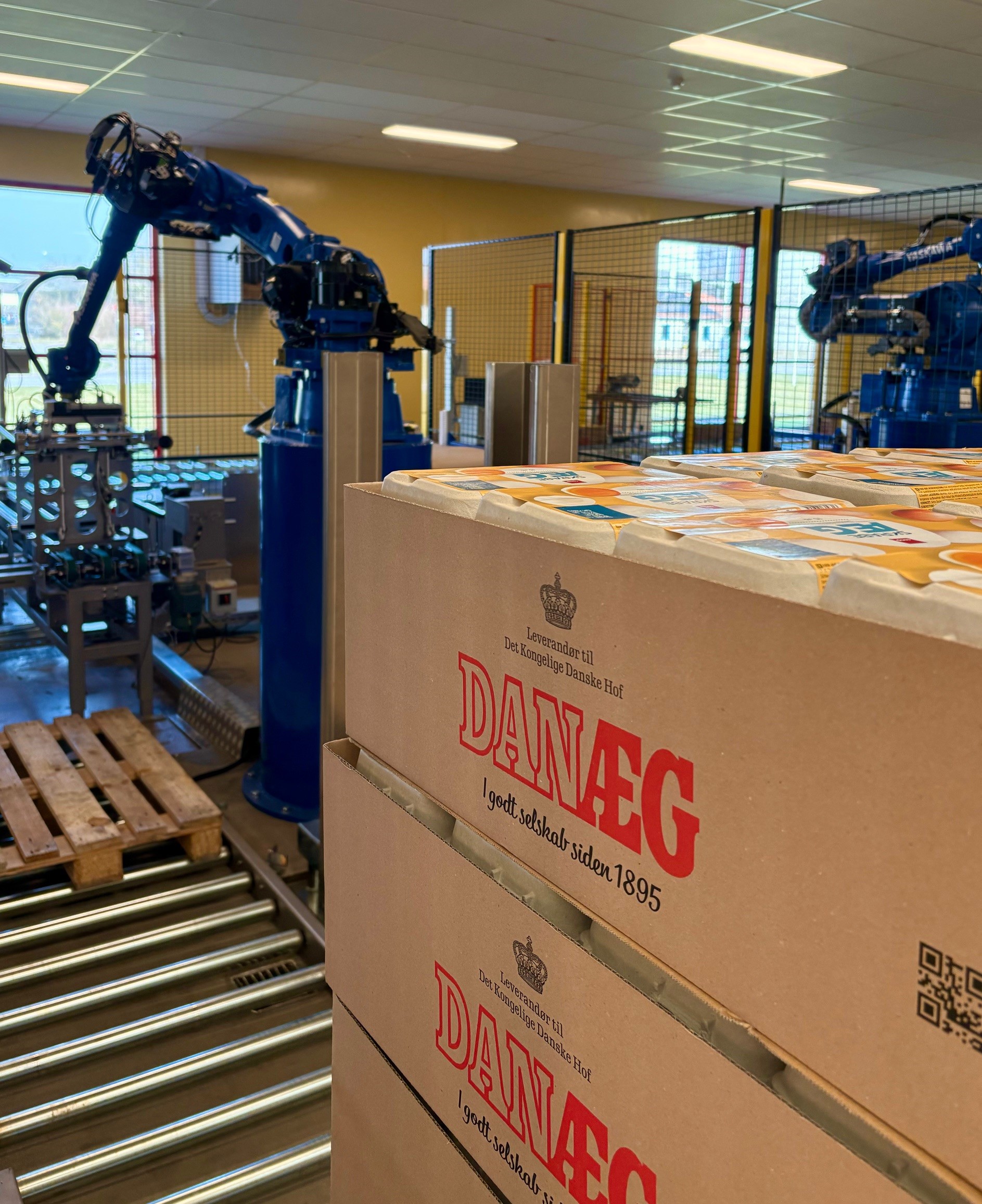 Robotanlæg håndterer rå æg med millimeterpræcision